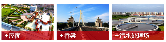 塑性体APP改性沥青防水卷材.jpg