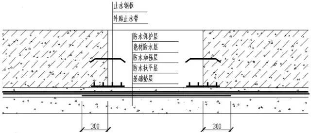 1697103699175659ptEf.jpg 2.jpg